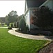 Lawn Maintenance & Care